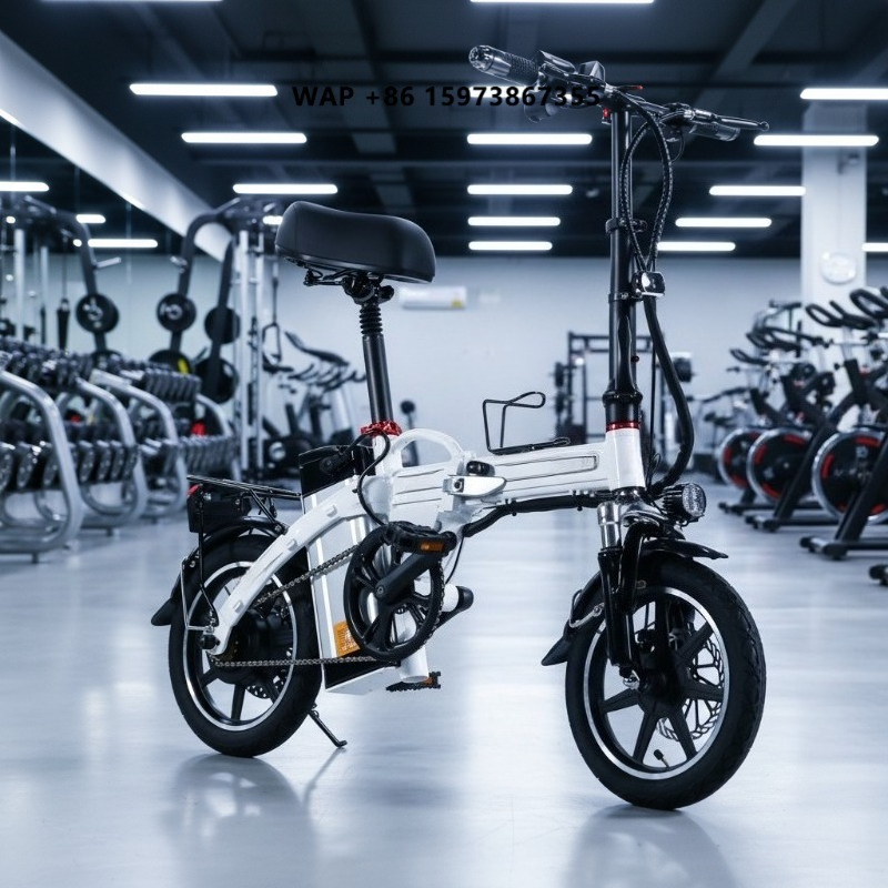 Mini Folding Electric Bike Fac - Commuter Biking recensione e prezzo