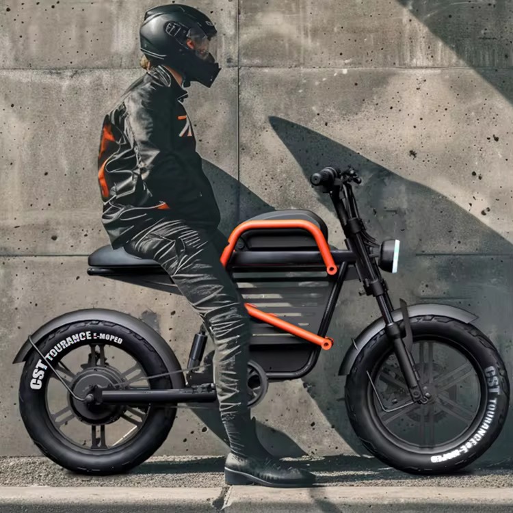 60V 20Ah WideTire Electric Mot - Commuting With Road Bike recensione e prezzo